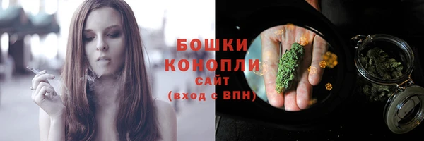 индика Михайловка