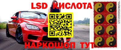 прущие грибы Бугуруслан