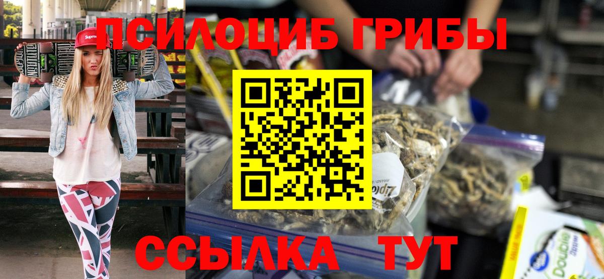 цена   Псилоцибиновые грибы Cubensis  Вход с VPN  Чайковский 